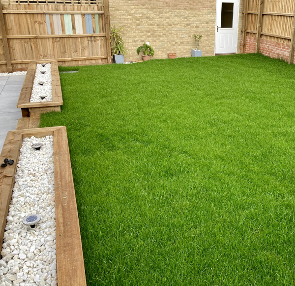grass-example